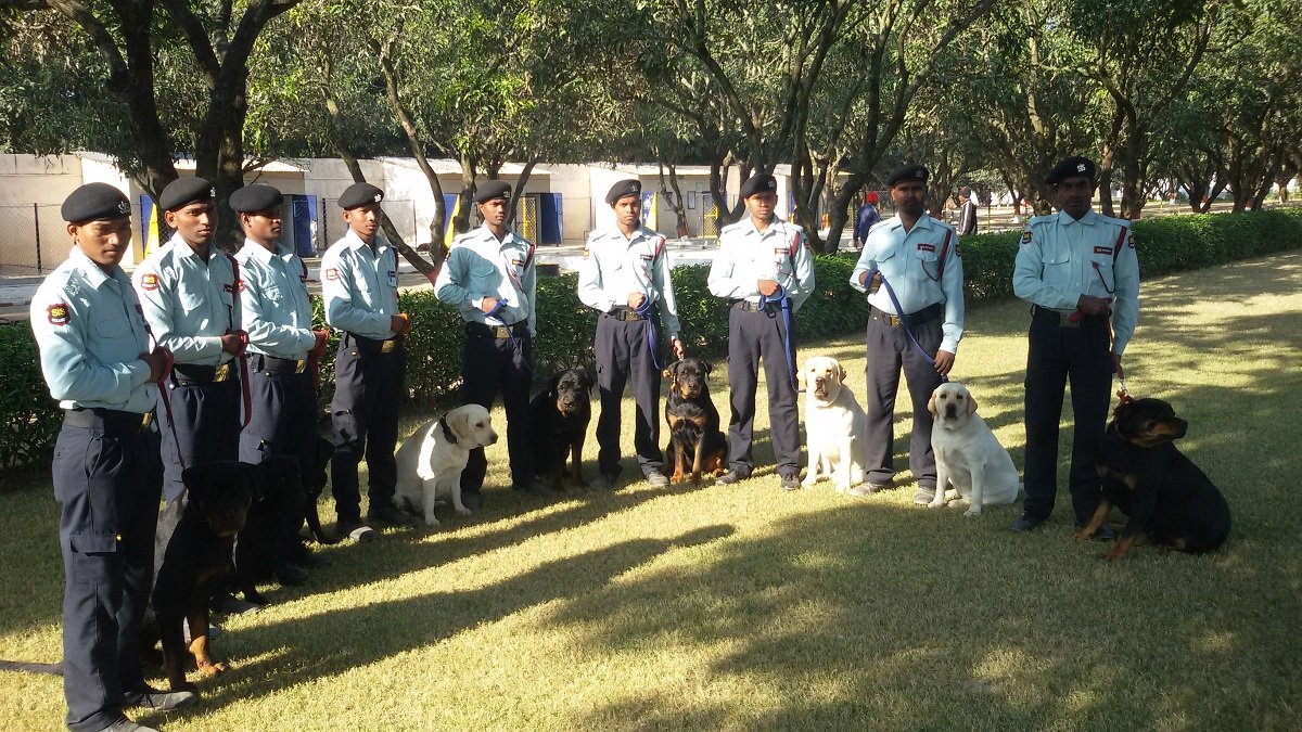 Dog Squads Providers